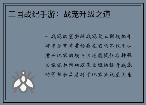 三国战纪手游：战宠升级之道